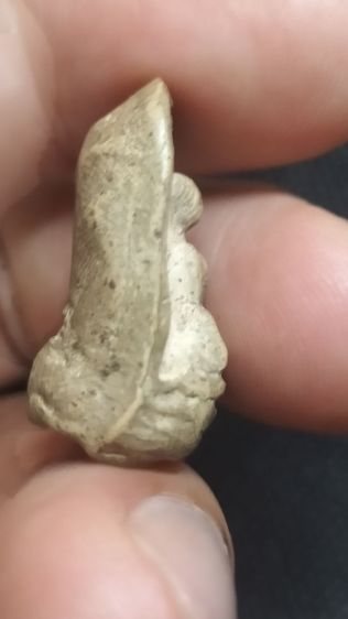 พระคงลำพูน รูปที่ 8