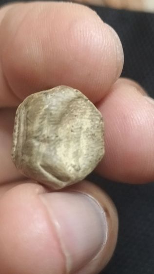 พระคงลำพูน รูปที่ 11