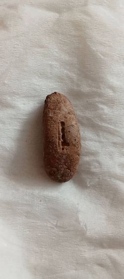 หลวง​พ่อ​ฤาษีลิง​ดำ​ วัด​ท่า​ซุง​ รูปที่ 2