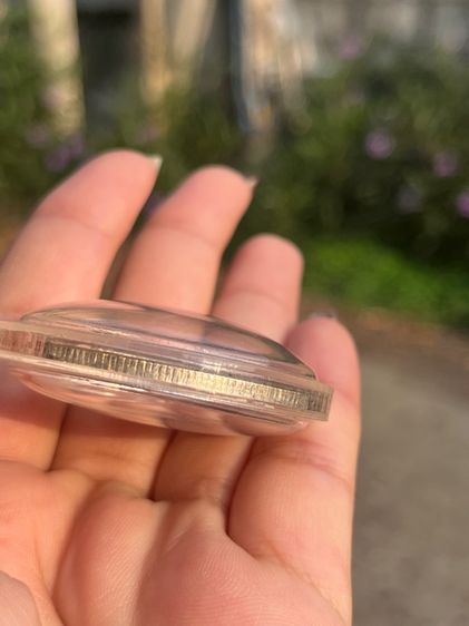 เหรียญฉัตรพานพุ่ม ด้านหลังช้าง  รูปที่ 5