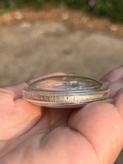 เหรียญฉัตรพานพุ่ม ด้านหลังช้าง  รูปที่ 6