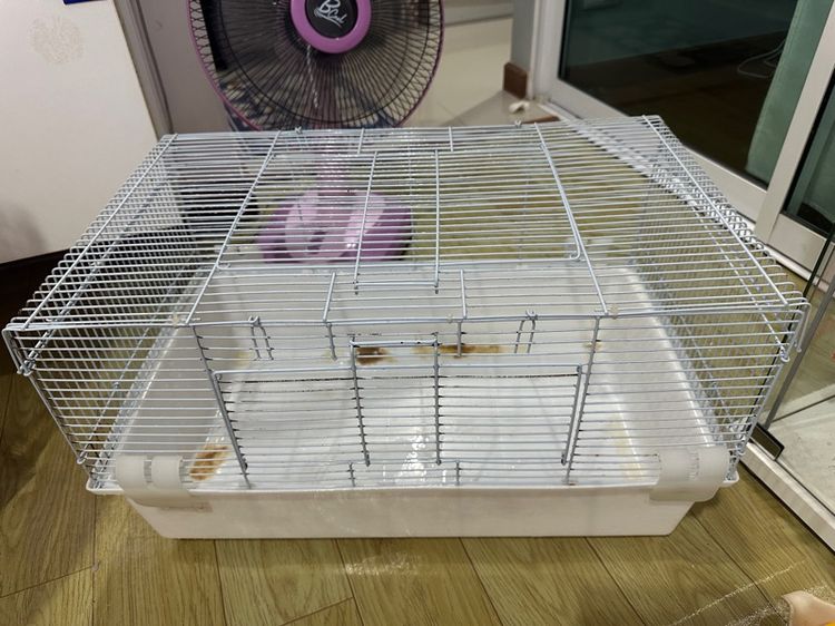 กรงหนู รูปที่ 2