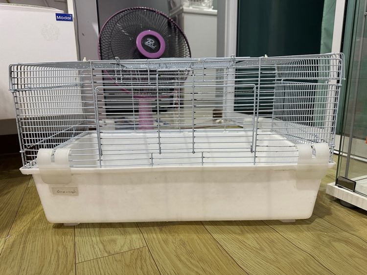 อื่นๆ กรงหนู