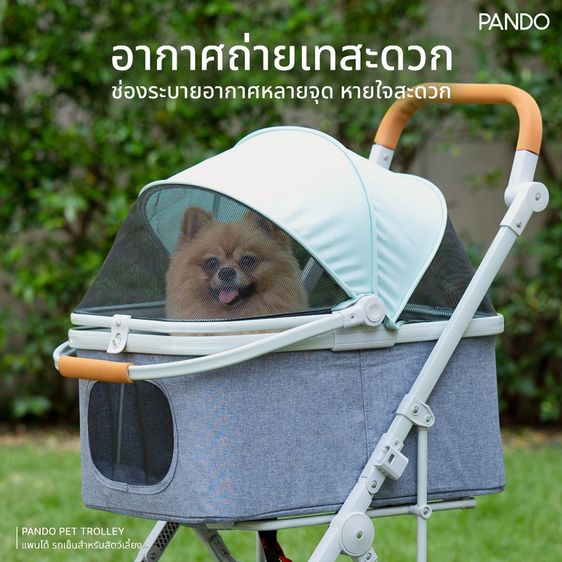 💟 Pando Pet Trolley รถเข็น หมา,แมว สำหรับสัตว์เลี้ยง รูปที่ 10