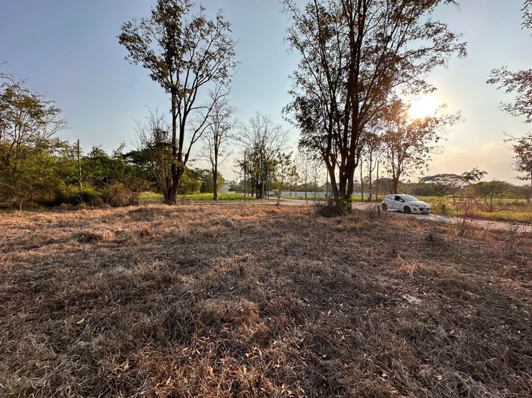 ขายที่ดินติดเทศบาลห้วยทรายสันกำแพงเชียงใหม่ มีโฉนด รูปที่ 4