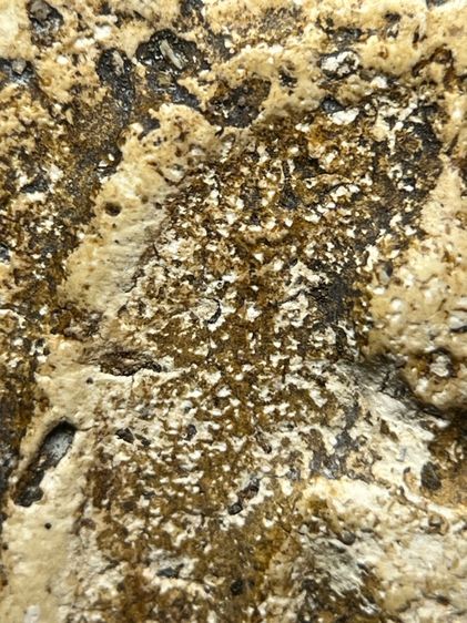 พระสมเด็จวัดระฆังพิมพ์ใหญ่กรอบกระจก ส่งตามรูป (43) รูปที่ 5