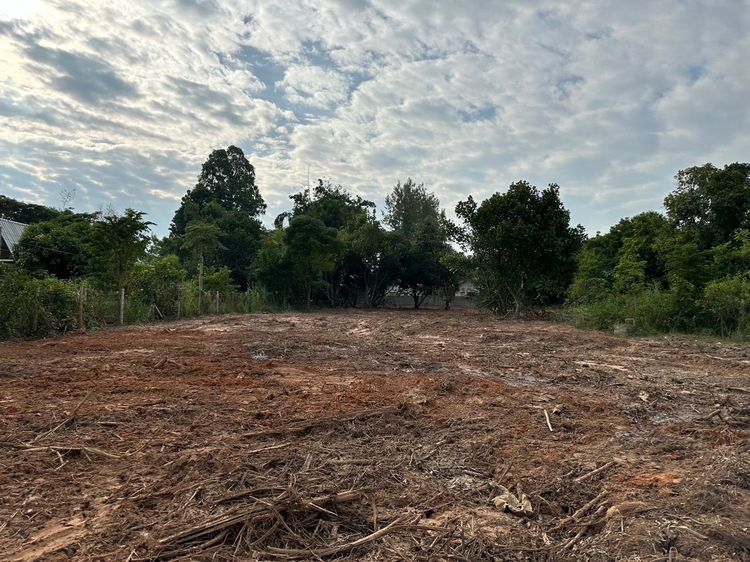 ขายที่ดินแปลงสวย ทำเลศักยภาพสูง ตั้งอยู่บนถนนบายพาส สาย ฉ (นครราชสีมา) เดินทางสะดวก เชื่อมต่อหลายเส้นทาง ใกล้ตลาด โรงเรียนนานาชาติ รูปที่ 2