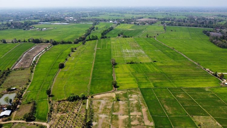 ขายที่ดินบ้านน้ำจำร้องวัวแดงสันกำแพง  เชียงใหม่ รูปที่ 2