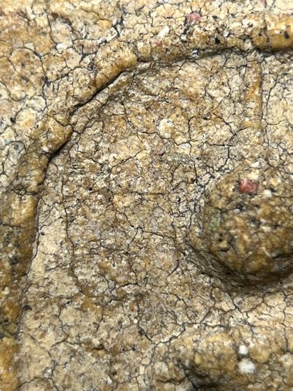 พระสมเด็จวัดระฆังพิมพ์เจดีย์ ส่งตามรูป (45) รูปที่ 5