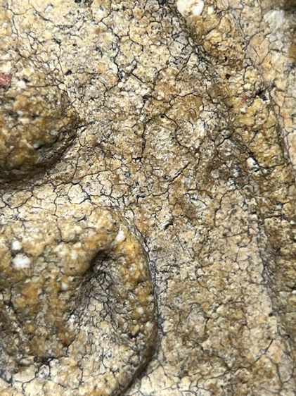 พระสมเด็จวัดระฆังพิมพ์เจดีย์ ส่งตามรูป (45) รูปที่ 6