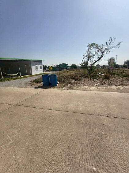 ขายด่วนที่ดิน 378.5 ตรว ติดถนนสาธารณะ ซอยร่วมใจ1 ตำบล คลองข่อย อ.ปากเกร็ด จ.นนทบุรี   รูปที่ 3