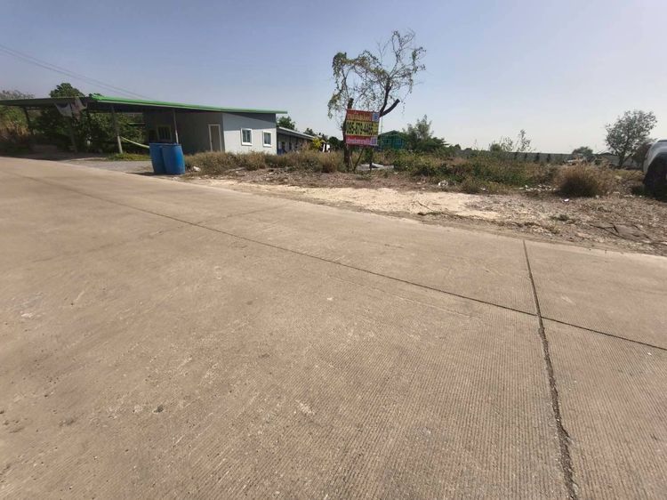 ขายด่วนที่ดิน 378.5 ตรว ติดถนนสาธารณะ ซอยร่วมใจ1 ตำบล คลองข่อย อ.ปากเกร็ด จ.นนทบุรี   รูปที่ 2