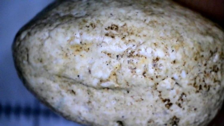 สมเด็จวัดพลับพิมพ์พุงเล็ก รูปที่ 5