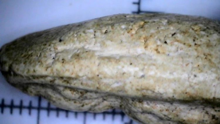 สมเด็จวัดพลับพิมพ์พุงเล็ก รูปที่ 6