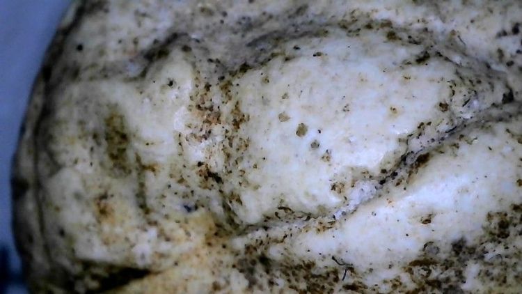 สมเด็จวัดพลับพิมพ์พุงเล็ก รูปที่ 4