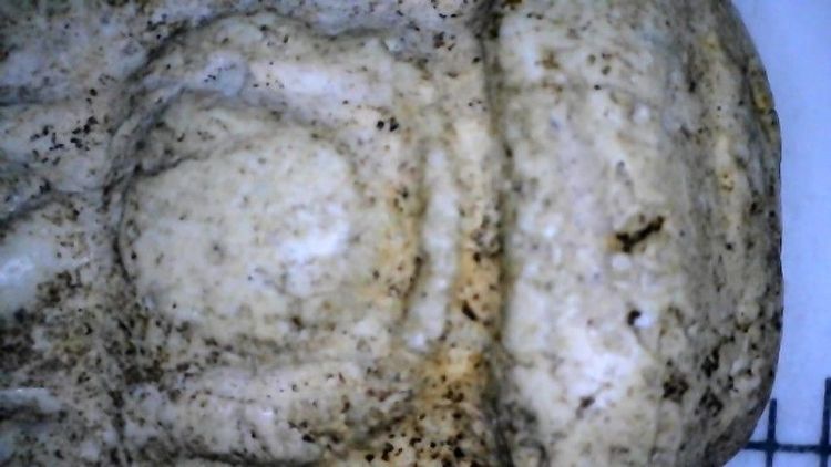 สมเด็จวัดพลับพิมพ์พุงเล็ก รูปที่ 9