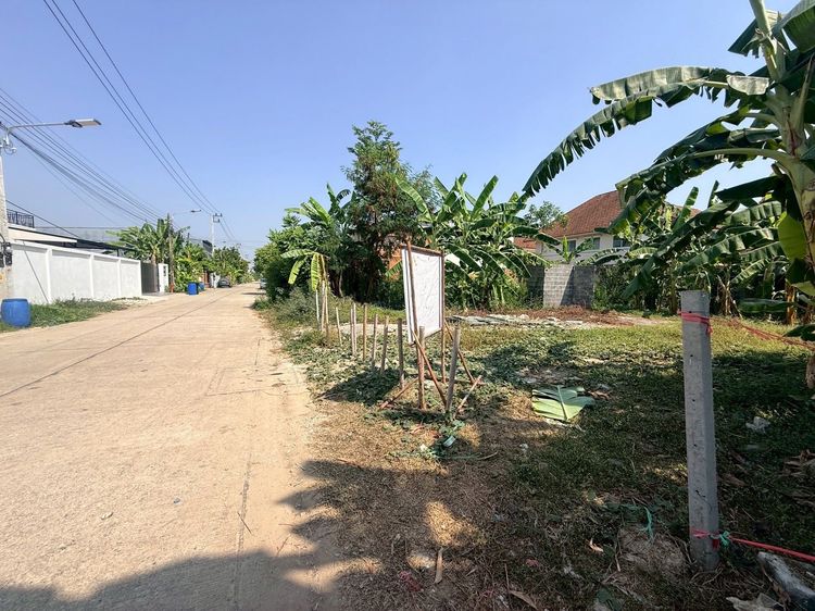 ขายถูกที่ดินลาดสวาย 124 ตรว ติดถนนคอนกรีตสาธารณะ ถมแล้ว ซ.ร่วมสุข 3 อ.ลำลูกกา จ.ปทุมธานี รูปที่ 2