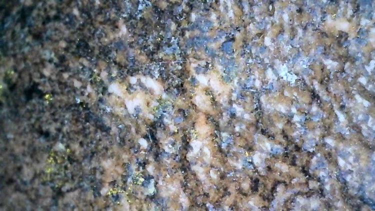 หลวงปู่ทวดเนื้อว่าน รูปที่ 7