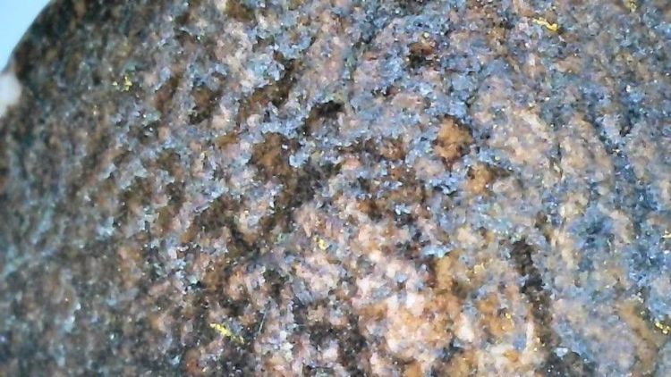 หลวงปู่ทวดเนื้อว่าน รูปที่ 8