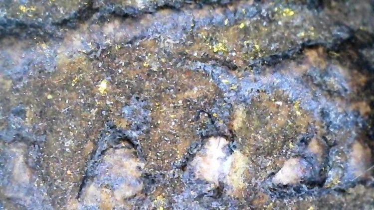 หลวงปู่ทวดเนื้อว่าน รูปที่ 12