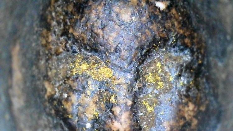 หลวงปู่ทวดเนื้อว่าน รูปที่ 9