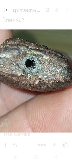 หลวงปู่ทวดเนื้อว่าน รูปที่ 13