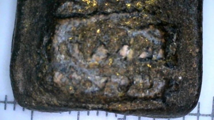 หลวงปู่ทวดเนื้อว่าน รูปที่ 5