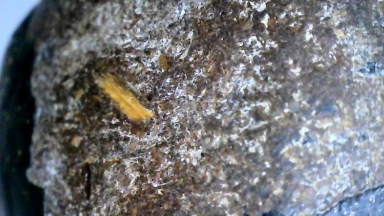 ปิดตาหลวงปู่จีน รูปที่ 11