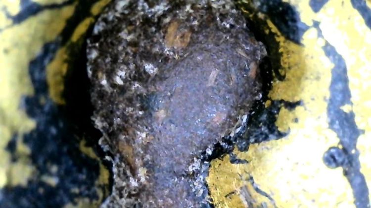 ปิดตาหลวงปู่จีน รูปที่ 14