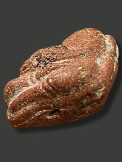 สังกัจจายน์ เนื้อว่านสบู่เลือด โรยแร่ วัดประสาทบุญญาวาส 06 รูปที่ 3