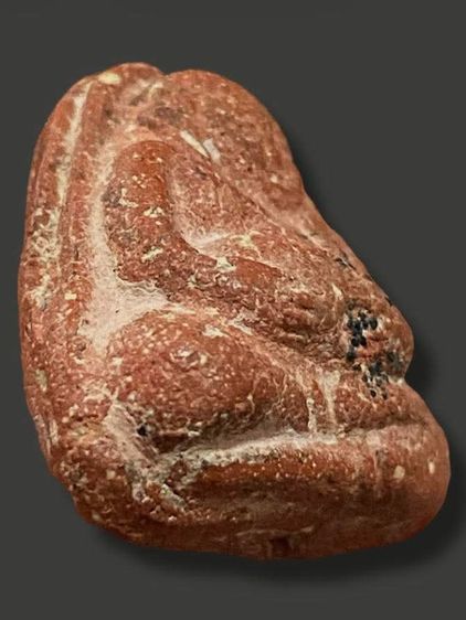 สังกัจจายน์ เนื้อว่านสบู่เลือด โรยแร่ วัดประสาทบุญญาวาส 06 รูปที่ 4