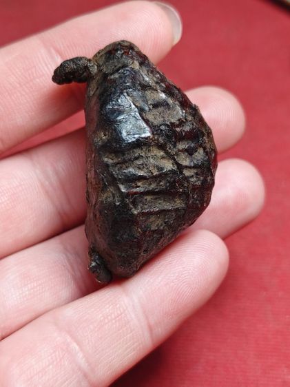 เบี้ยแก้ลงรักถักเชือกหลวงปู่รอดวัดนายโรง