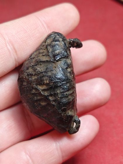 เบี้ยแก้ลงรักถักเชือกหลวงปู่รอดวัดนายโรง รูปที่ 3