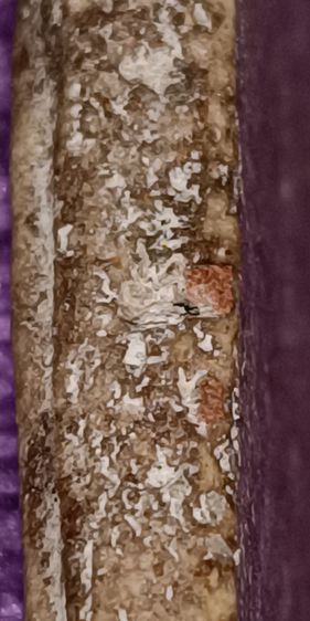 พระสมเด็จวัดระฆัง รูปที่ 14