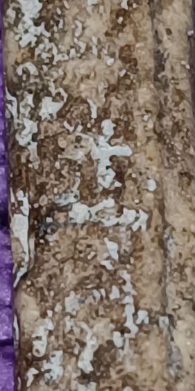 พระสมเด็จวัดระฆัง รูปที่ 17