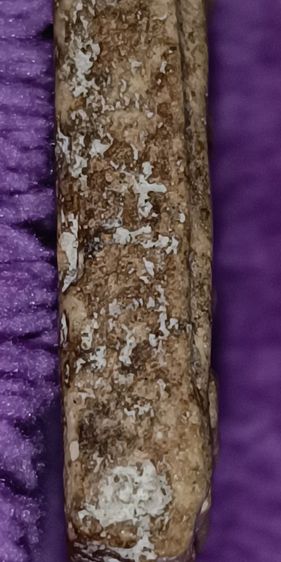 พระสมเด็จวัดระฆัง รูปที่ 16