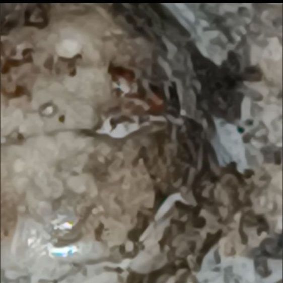 พระสมเด็จวัดระฆัง รูปที่ 5