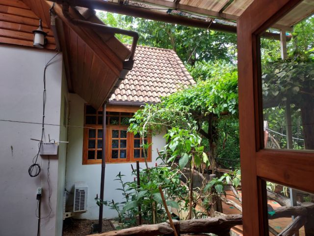 ใช่ ขายที่ดินพร้อมบ้านปลูกสร้างไม้สักทั้งหลังครับ รูปที่ 3