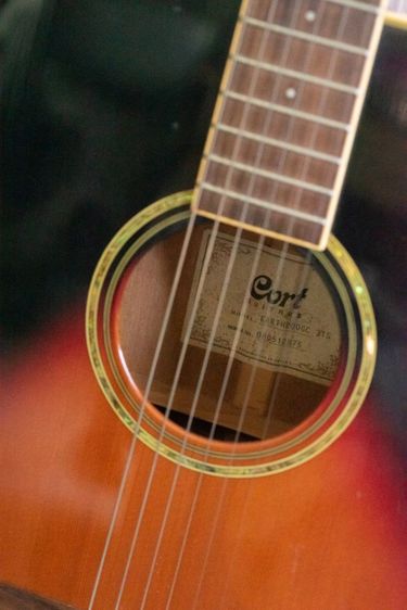 ขายกีต้าร์ Cort Earth￼ 200GC 3TS (All Solid)
ทรง OM ราวๆ ปี 2008
 รูปที่ 2