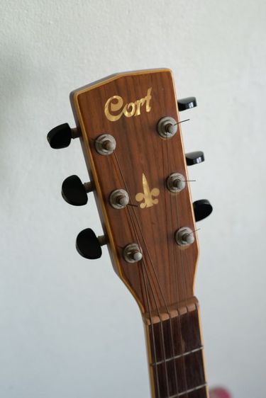 ขายกีต้าร์ Cort Earth￼ 200GC 3TS (All Solid)
ทรง OM ราวๆ ปี 2008
 รูปที่ 6