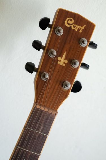 ขายกีต้าร์ Cort Earth￼ 200GC 3TS (All Solid)
ทรง OM ราวๆ ปี 2008
 รูปที่ 5