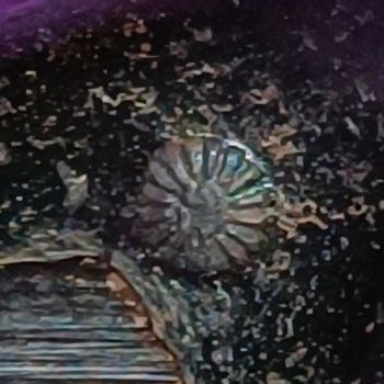 พระเหรียญหลวงพ่อเหลือ วัดสาวชะโงก กับ ป.ต.ปู่หมุน รูปที่ 15