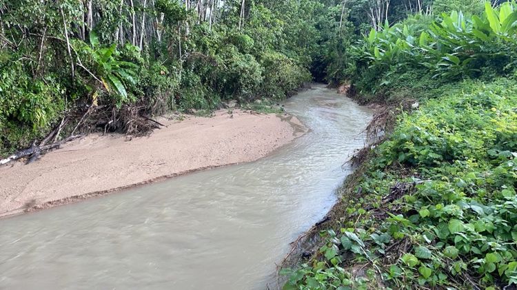 ใช่ ขายที่สวนทุเรียนระยอง 12ไร่3งาน53 ตารางวา รูปที่ 2