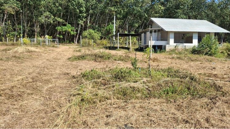 ใช่ ขายที่สวนทุเรียนระยอง 12ไร่3งาน53 ตารางวา รูปที่ 4