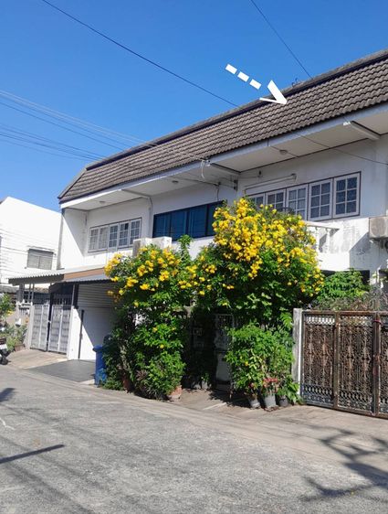 ขายด่วนพิเศษ บ้านทาวเฮ้าส์ 2ชั้น 24 ตรว. ถ.โชคชัย 4 ซอย 77 เขตลาดพร้าว กทม ราคา 3.25 ล้านบาท ลดได้