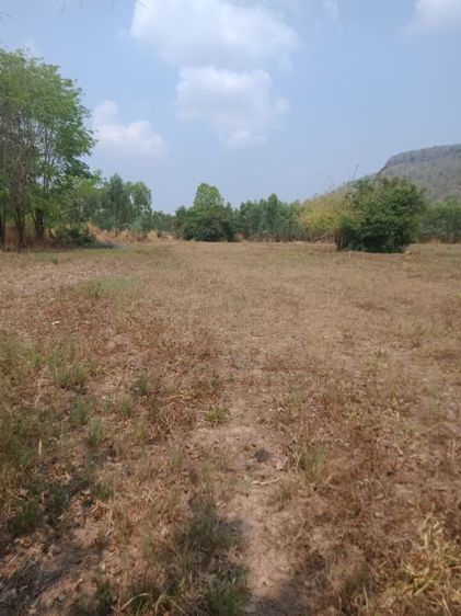  ขายที่ดินโฉนด อำเภอวังทอง รูปที่ 4