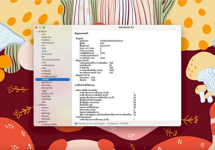 MacBook Air 13-inch 2018 Ram8GB SSD128GB Gold รูปที่ 13