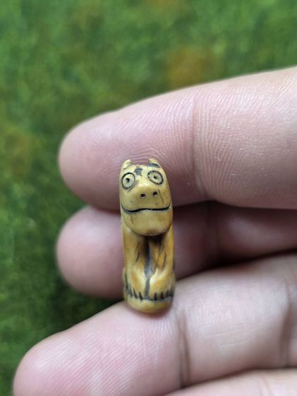 เสือหลวงพ่อปานเก่าๆ รูปที่ 3