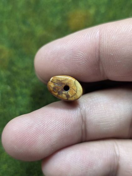 เสือหลวงพ่อปานเก่าๆ รูปที่ 5