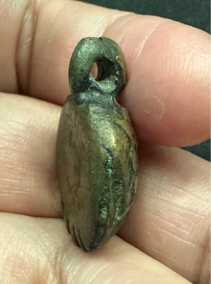 เต่าเรือน​หลวงพ่อเงิน รูปที่ 6